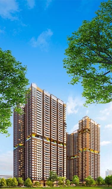 Vườn Nhật & nhà trà