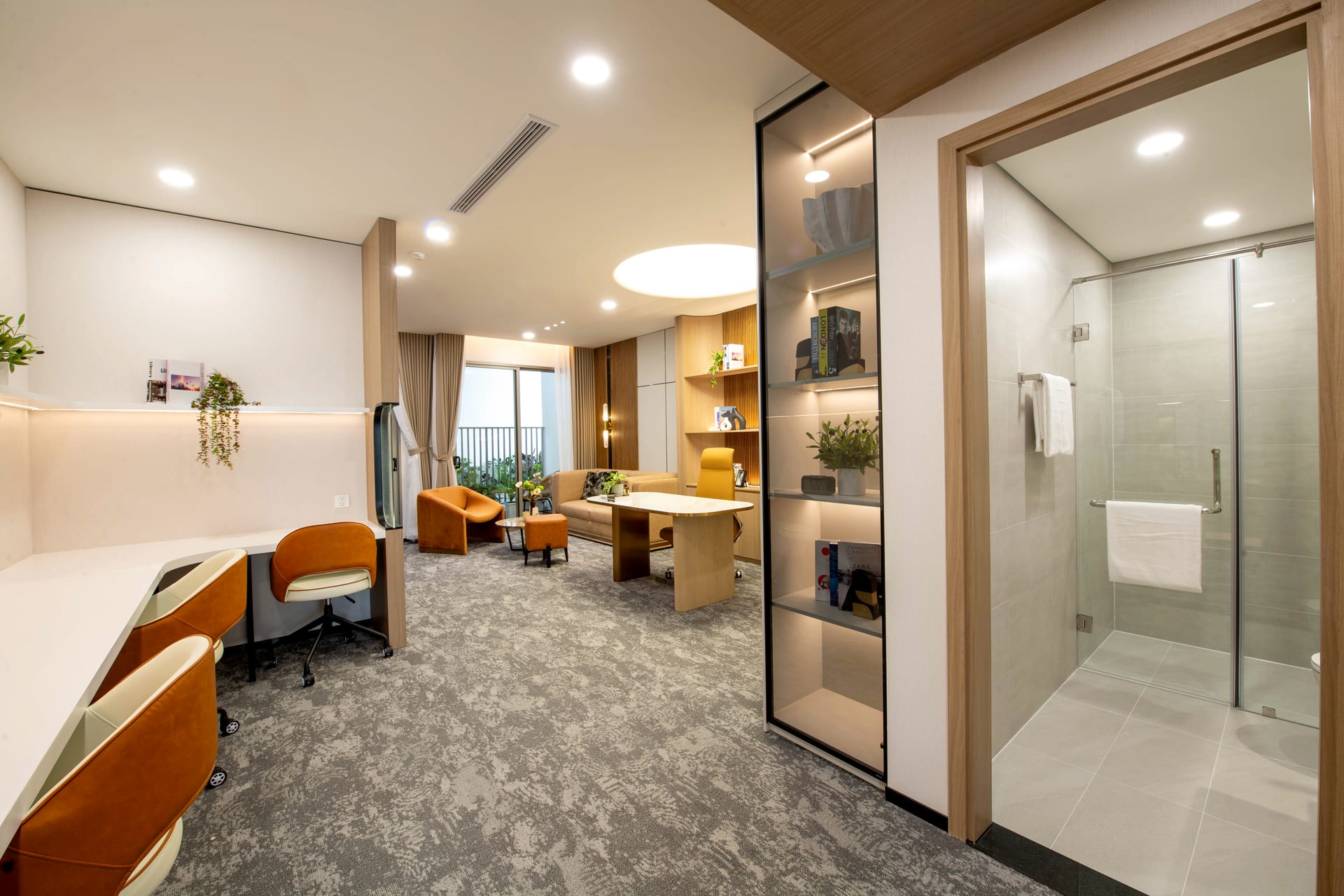 1BR show flat view 2