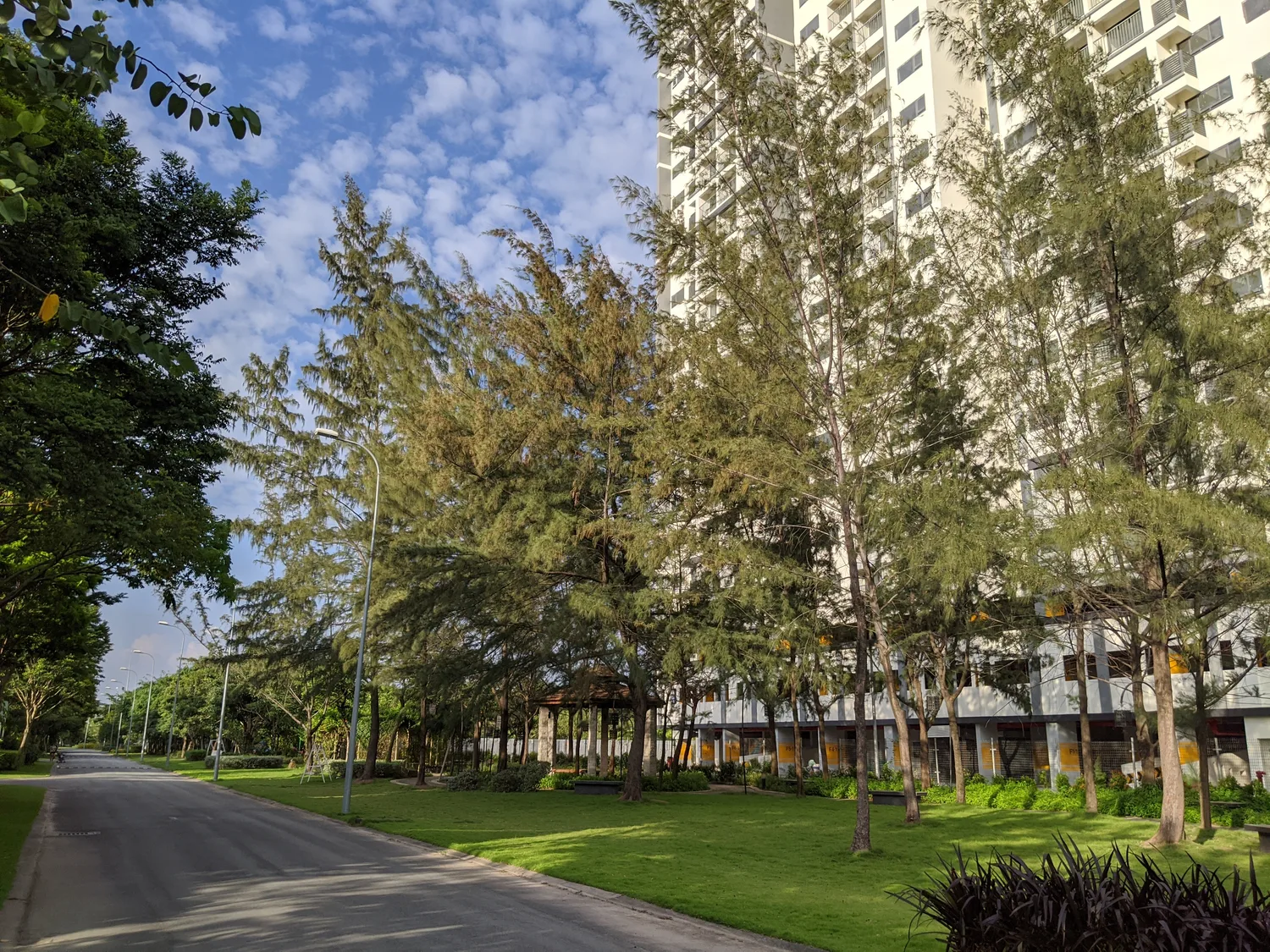 EcoXuan surrounds · photo 1