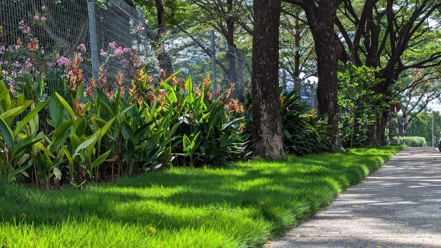 EcoXuan surrounds · photo 21