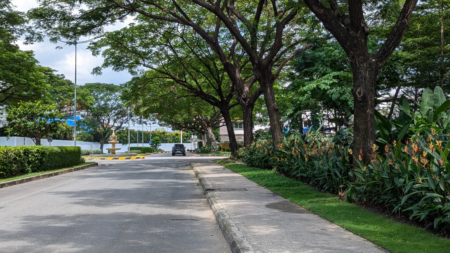 EcoXuan surrounds · photo 24